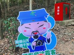 -上海佘山国家森林公园天马山园