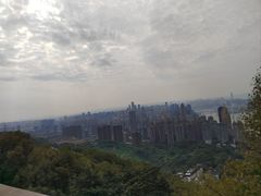 -南山植物园