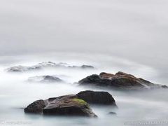 -傣妹火锅(狮子桥店)