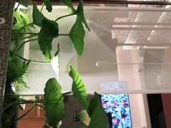 -新辣道鱼火锅(上地华联店)