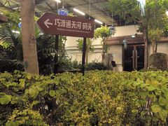 -南宫五洲植物乐园