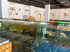 水产区-圆圆家私房美食(民权路店)