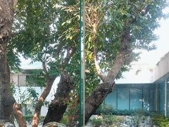 -白云宾馆·白云宴餐厅