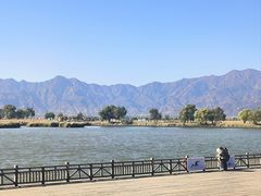 -野鸭湖国家湿地公园