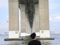 -中澳友谊花园
