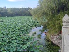 -长春市南湖公园