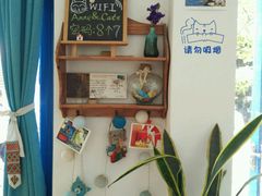 摆设WiFi-Anne猫窝咖啡屋