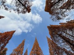 -宝岩生态观光园