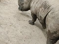 -哈尔滨北方森林动物园