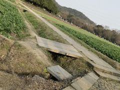 -八卦田遗址公园