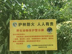 -莫里热带雨林景区