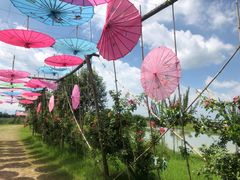 -金谷域澳洲庄园