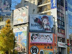 -秋叶原电器街
