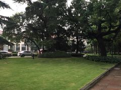 -棕榈岛海鲜自助餐厅(虹桥迎宾馆店)