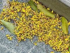 -东钱湖小普陀景区