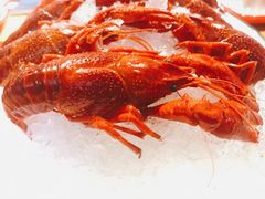 -虾弄弄海派小龙虾·牛羊蝎子火锅