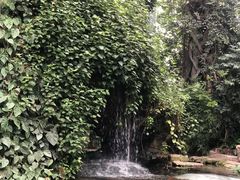 -郑州植物园