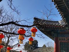 -颐和园