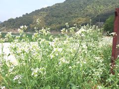 -泽雅景区
