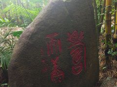 -呀诺达热带雨林