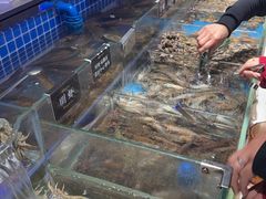 -加餐海鲜自助(宝龙一城店)