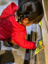 点击看大图 -酷嗒动物文化乐园(cutezoo西溪乐天城店)