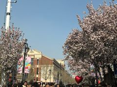 -天津五大道文化旅游区