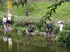 -重庆彩云湖湿地公园