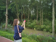 -桤木河湿地公园