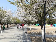 景点-蠡湖大桥公园