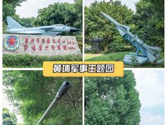 -长洲岛