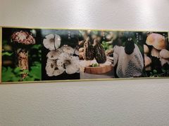 -阿鹏故事野生菌火锅(古城店)