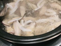 -春润大地海南椰子鸡(沙井京基百纳广场店)
