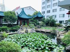-華僑飯店中餐厅