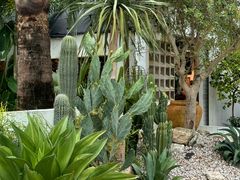 -自由生长植物工作室(深港花卉中心店)
