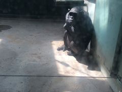 -石家庄市动物园