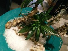 -小天鹅戴斯酒店鲸鲨百汇创作料理