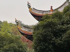 -岳麓书院
