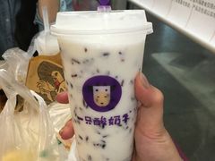 -一只酸奶牛(八一路店)