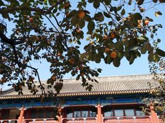 -北京石刻艺术博物馆(五塔寺)