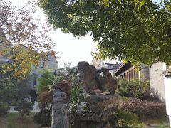 -东平国家森林公园