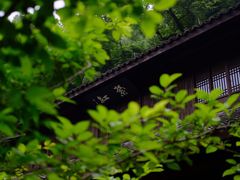 -杭州植物园