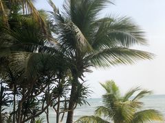 -三亚南山文化旅游区