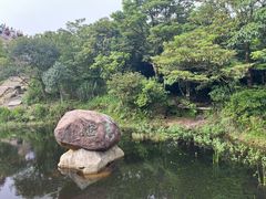 -梧桐山风景名胜区