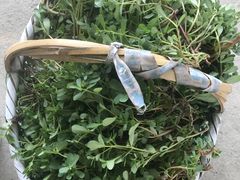 -马陆小张葡萄园农家乐