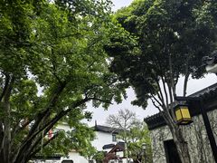 -东山雕花楼