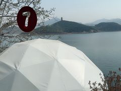 -望湖烤鱼