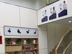 -凯瑞希宠物医院·狂犬免疫·微创·皮肤科