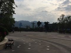 -食街•早茶•儿童套餐(长隆企鹅酒店)