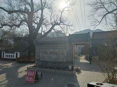 -康陵正德春饼宴26号
